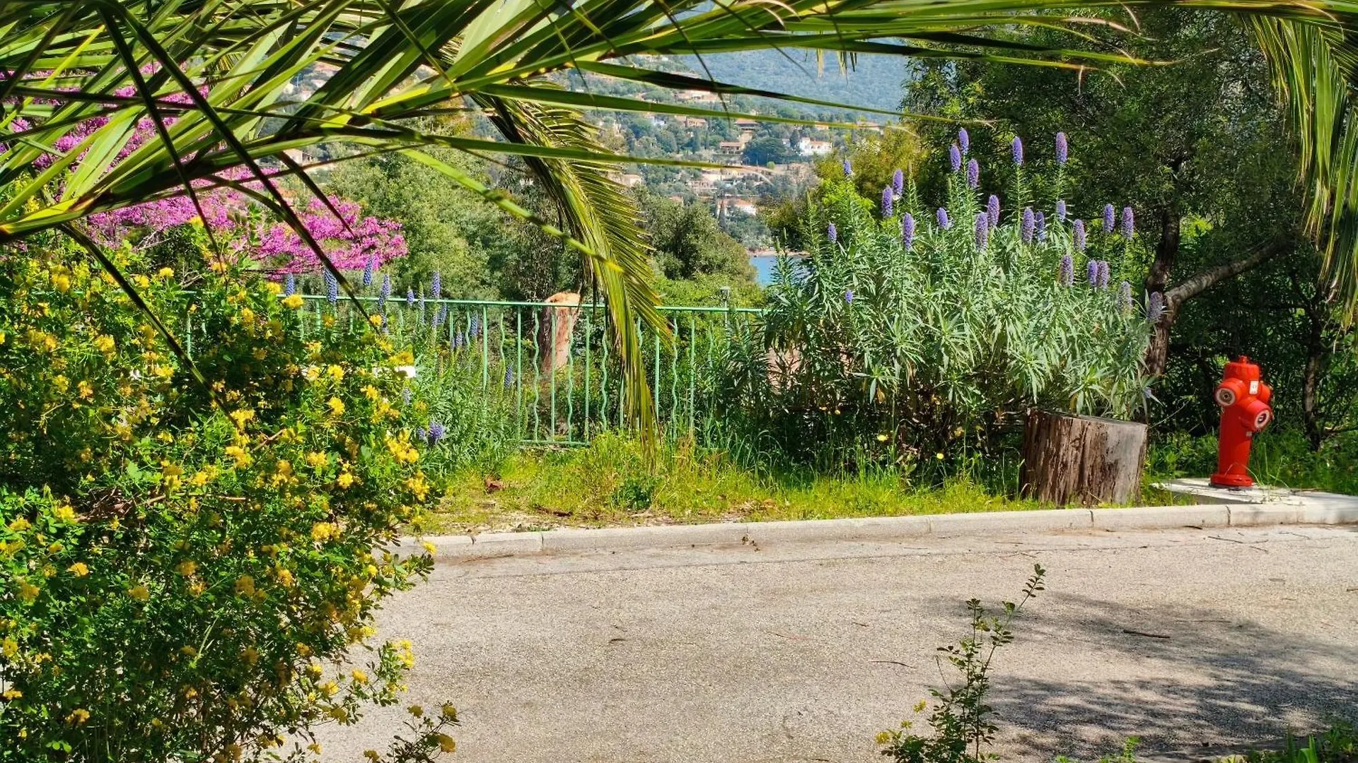 Domaine De La Pinede Le Lavandou Pramousquier Apartment